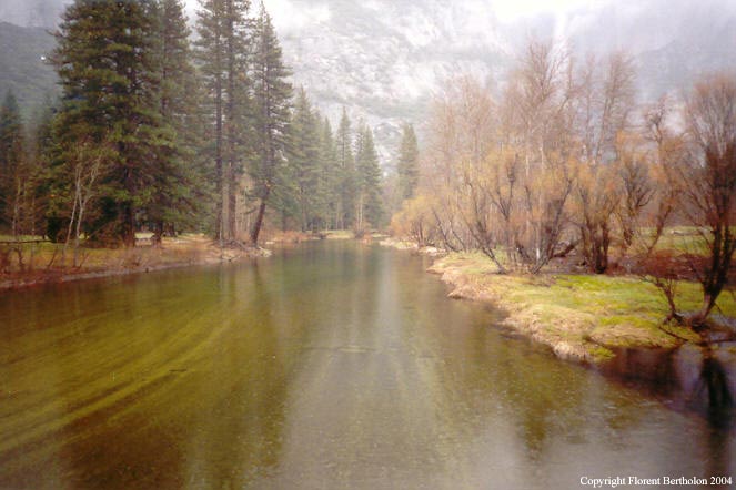 La Californie: Parque du Yosemite